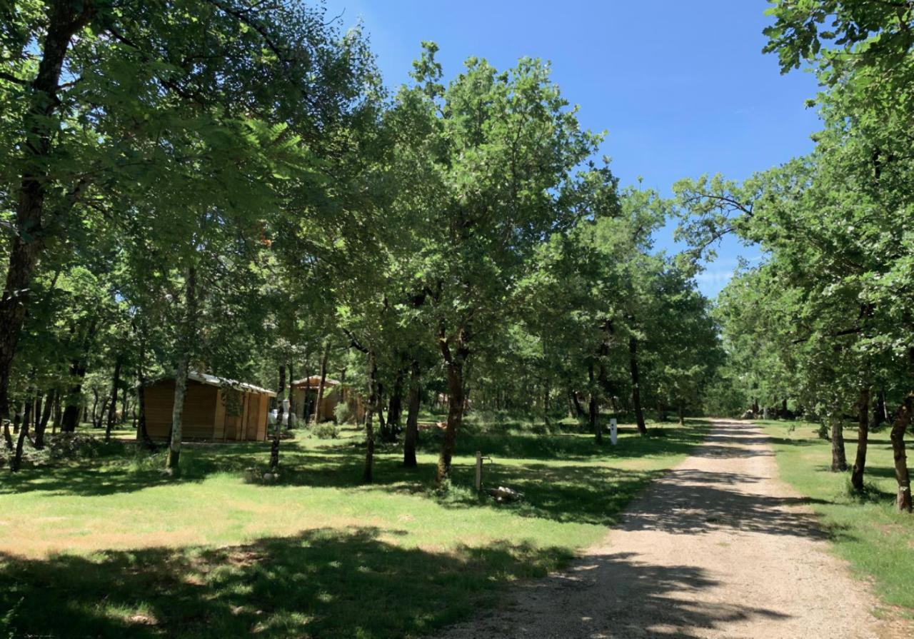 Lodges Du Bois Dodo - Ancien Camping De Bois Redon Septfonds Екстериор снимка