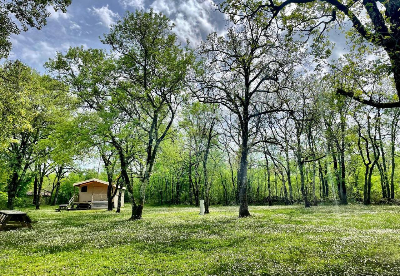 Lodges Du Bois Dodo - Ancien Camping De Bois Redon Septfonds Екстериор снимка